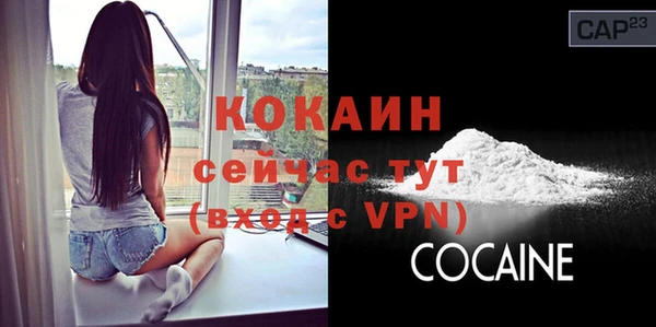индика Аркадак