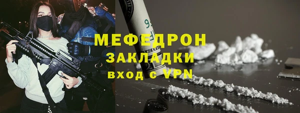 индика Аркадак