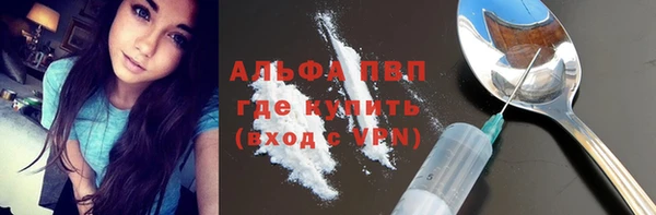 индика Аркадак