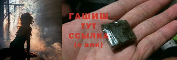 индика Аркадак