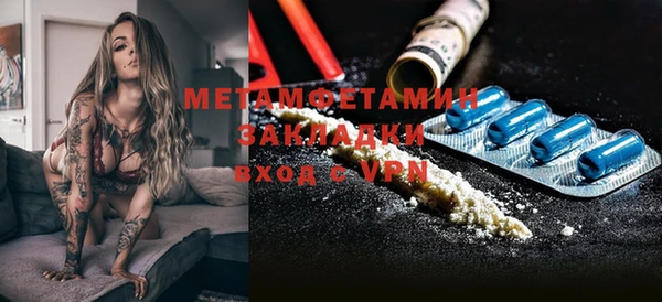 индика Аркадак
