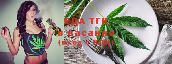 индика Аркадак