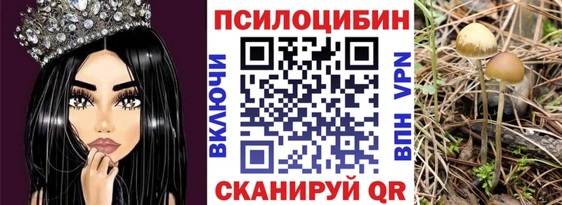 Галлюциногенные грибы мухоморы  гидра ССЫЛКА  Ревда 